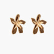 Gold-plated brass flower earrings with brown tortoiseshell enamel petals on cream background
