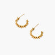 Twisted Gold Hoops