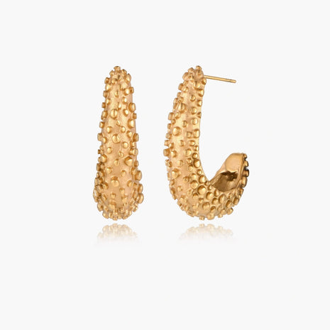 Textured Crescent Hoops